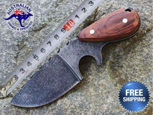 Fixed Blade Hunting Pig Knife Camping Tactical Outdoor Survival Combat Small - www.knifemaster.com.au